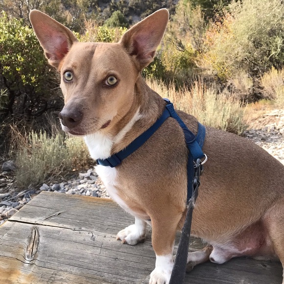 Meet your Posher, Carolyn - Picture 10 of 13